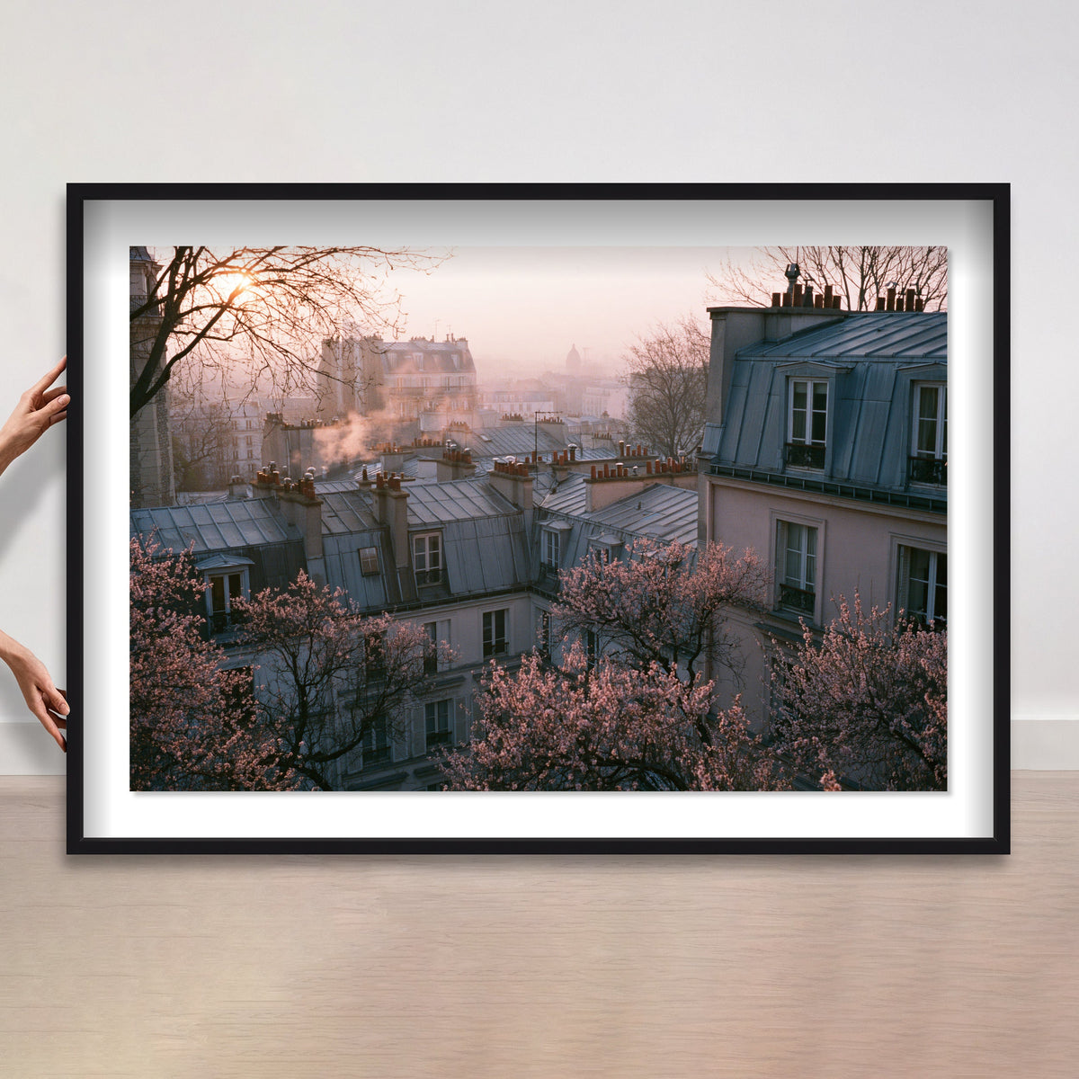 Blossom Framed Paris IV