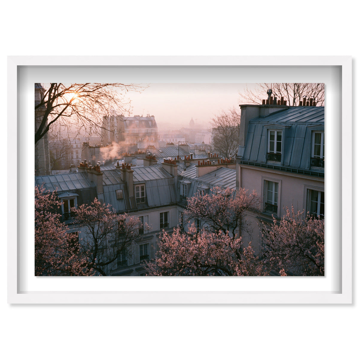 Blossom Framed Paris IV