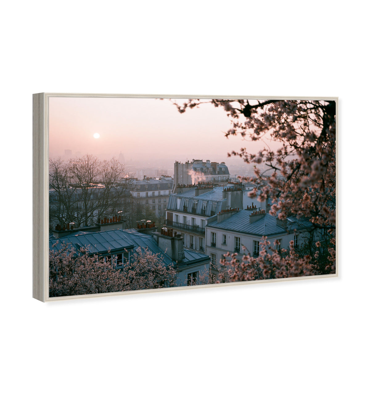 Blossom Framed Paris III