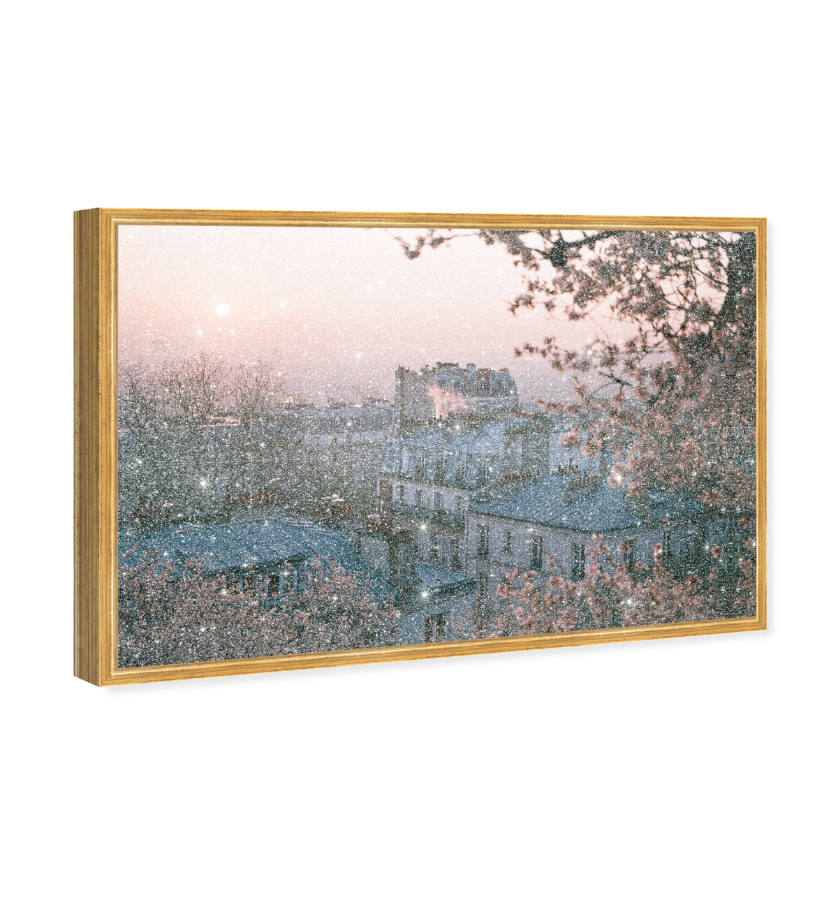 Blossom Framed Paris III