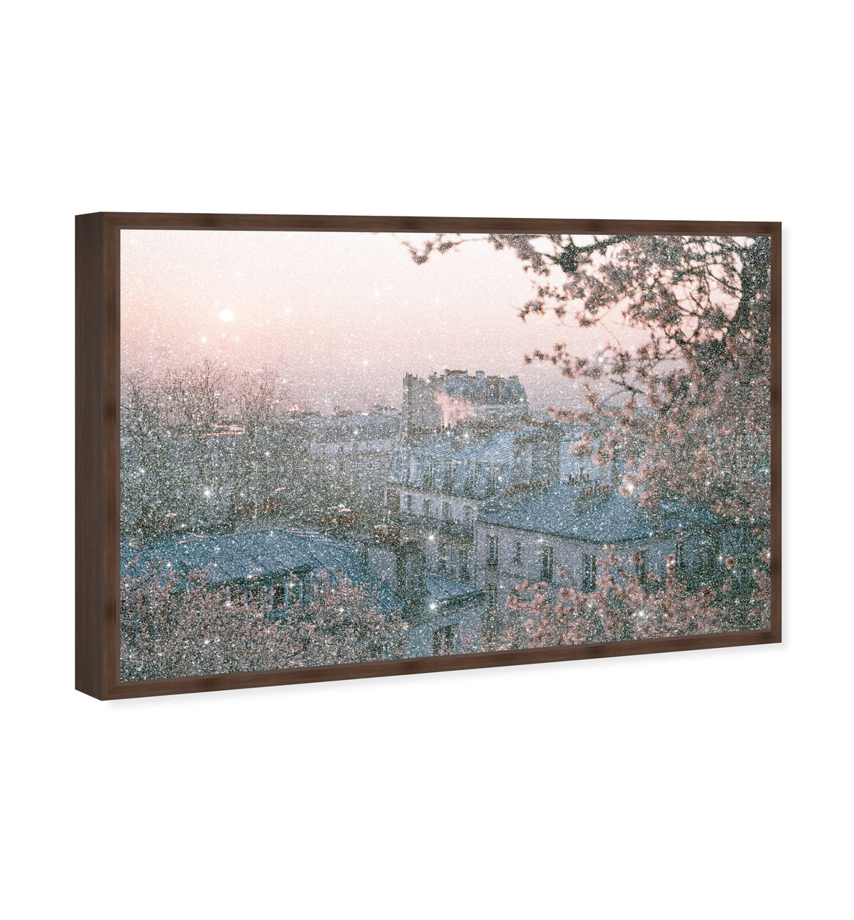 Blossom Framed Paris III