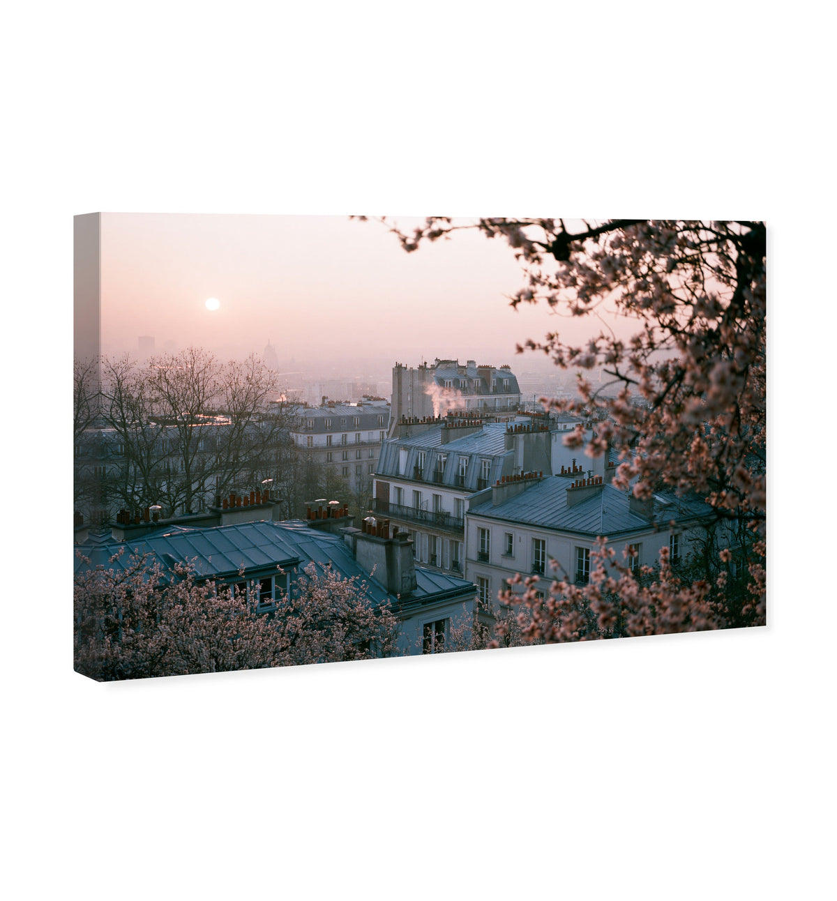Blossom Framed Paris III