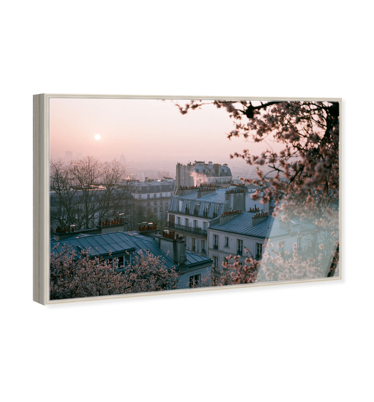 Blossom Framed Paris III