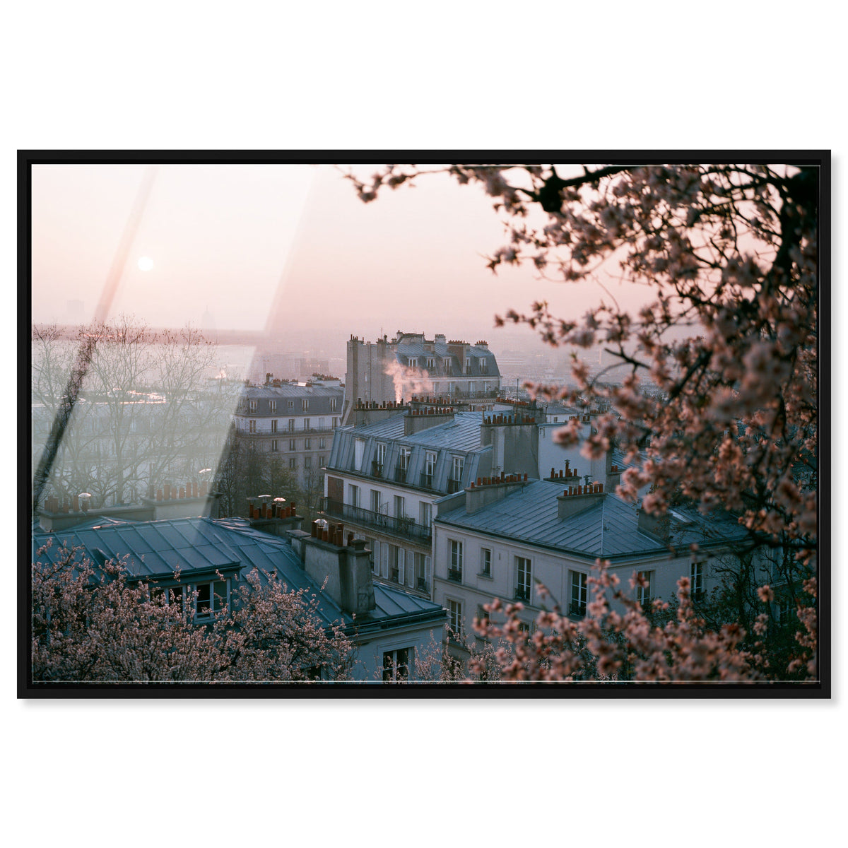 Blossom Framed Paris III
