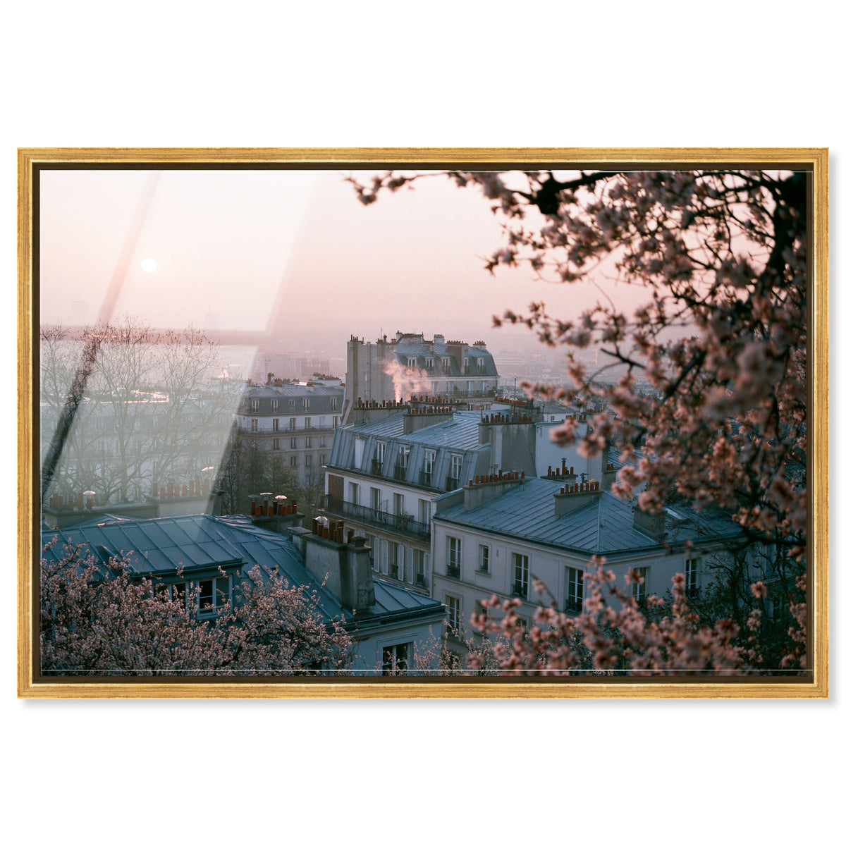Blossom Framed Paris III