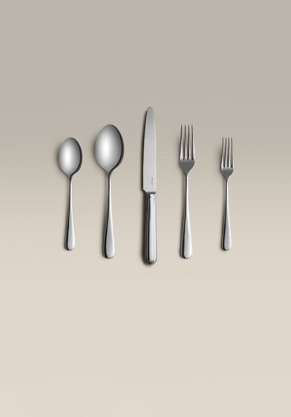 Classic 5 Piece Stainless Steel Place Setting, back view