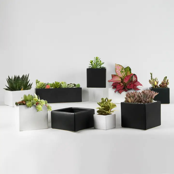Contemporary Collection, full piece on a surface