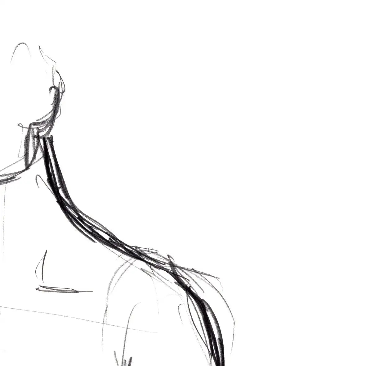 Female Torso Sketch Wall Art, edge and border detail