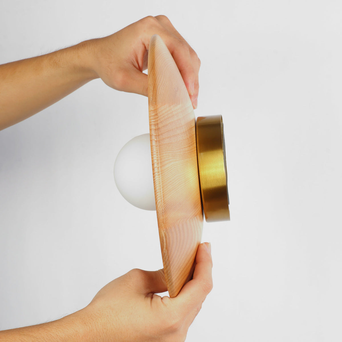 Longleaf Natural Wooden Plate Wall Light, styled above a table