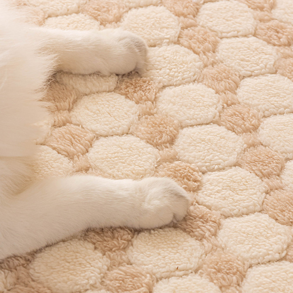 Raised Pebble Plush Bolster Pet Sofa Bed, styled in a living room