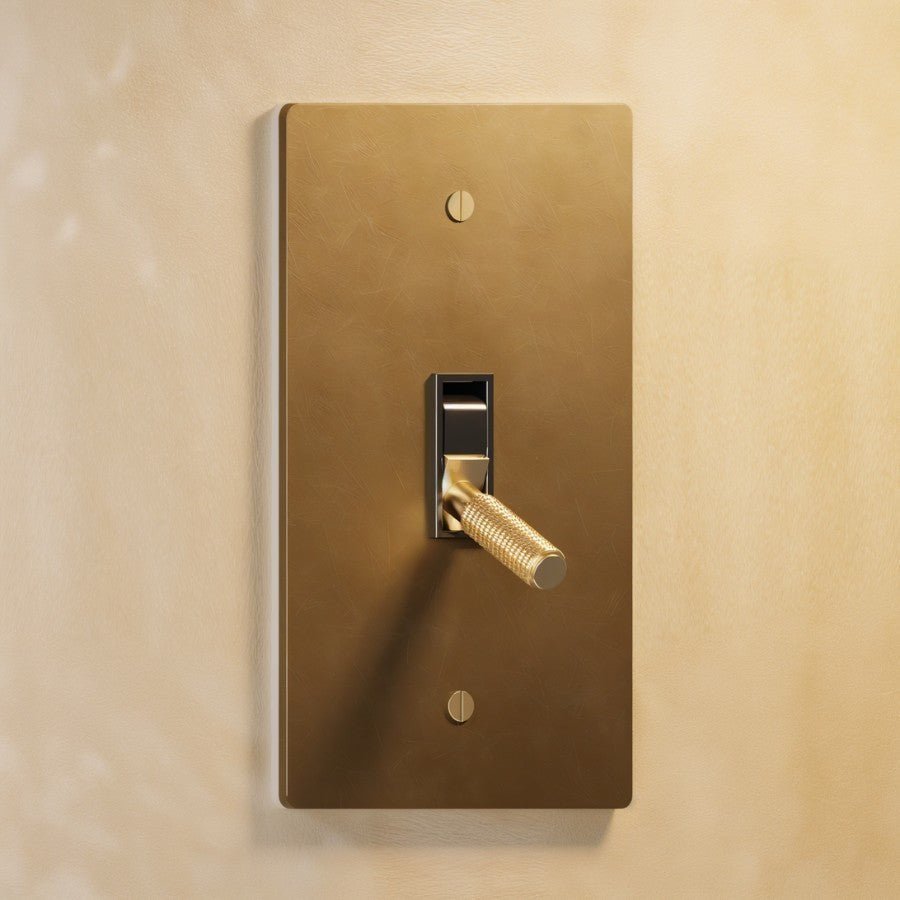 The Architectural Brass 4-Way Toggle Switch (1 to 5 Gang), styled in a room