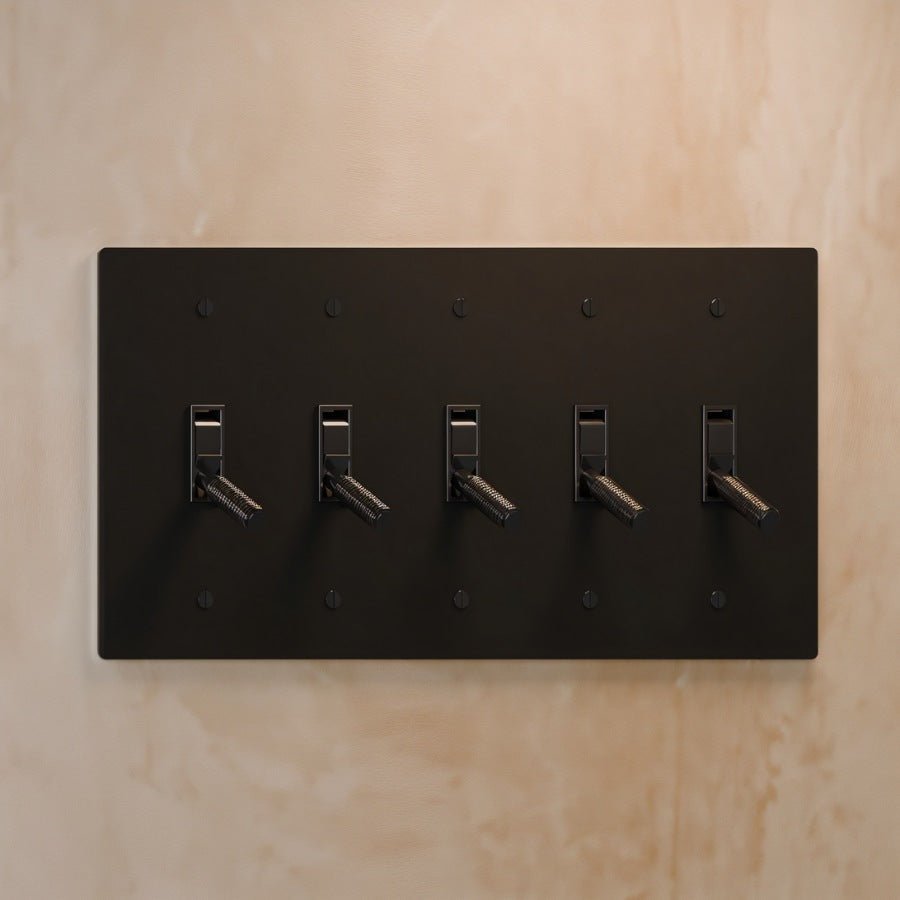 The Architectural Brass 4-Way Toggle Switch (1 to 5 Gang), held in hand for scale (2)