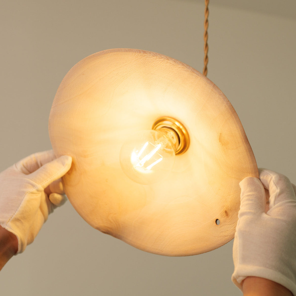 Yakusugi Wabi-sabi Wood Pendant Light, styled in a hallway