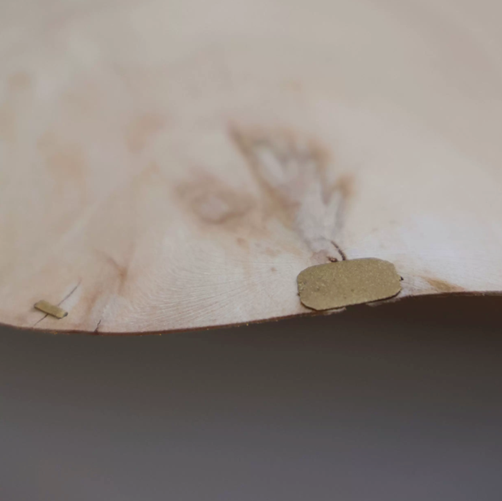Yakusugi Wabi-sabi Wood Pendant Light, shade and diffuser detail (2)