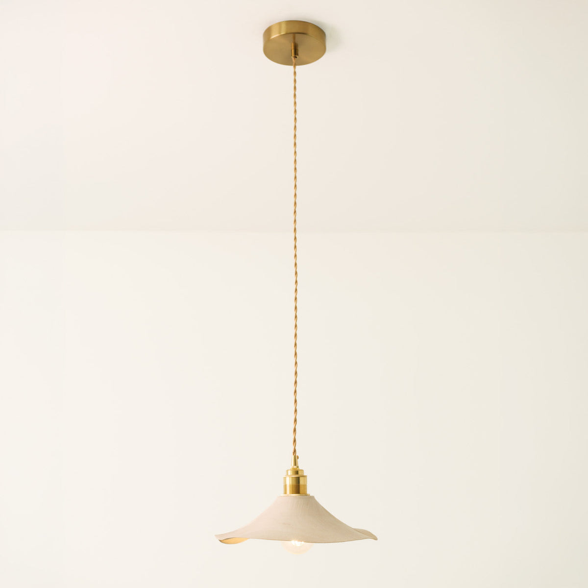 Yakusugi Wabi-sabi Wood Pendant Light, mounted on the wall