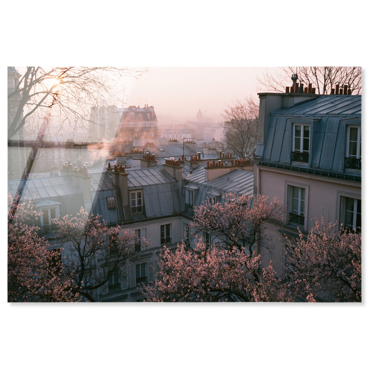 Blossom Framed Paris IV