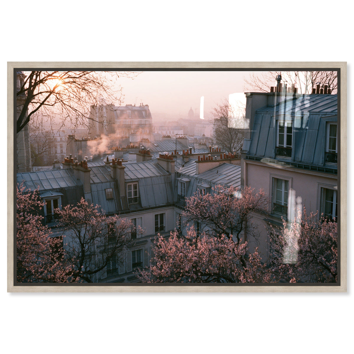 Blossom Framed Paris IV
