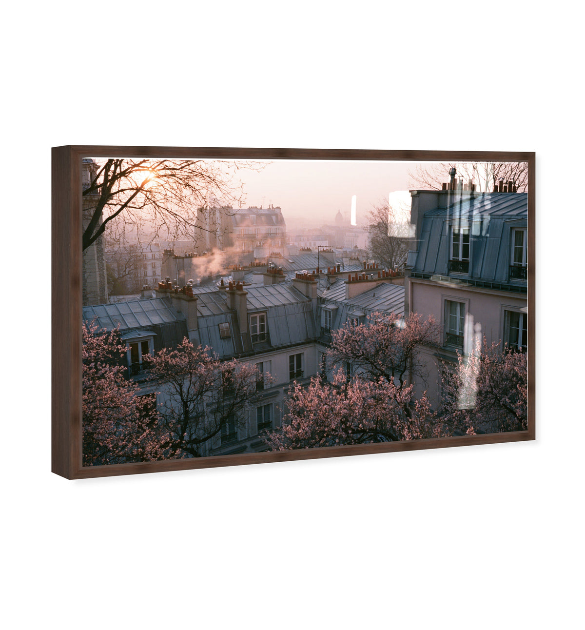 Blossom Framed Paris IV