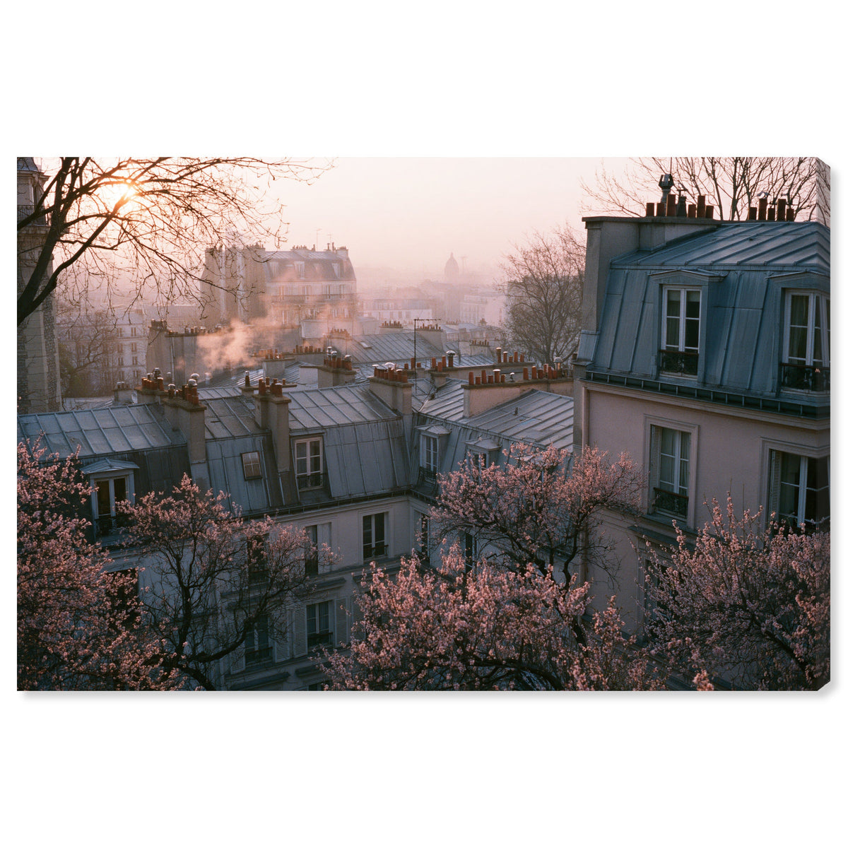 Blossom Framed Paris IV
