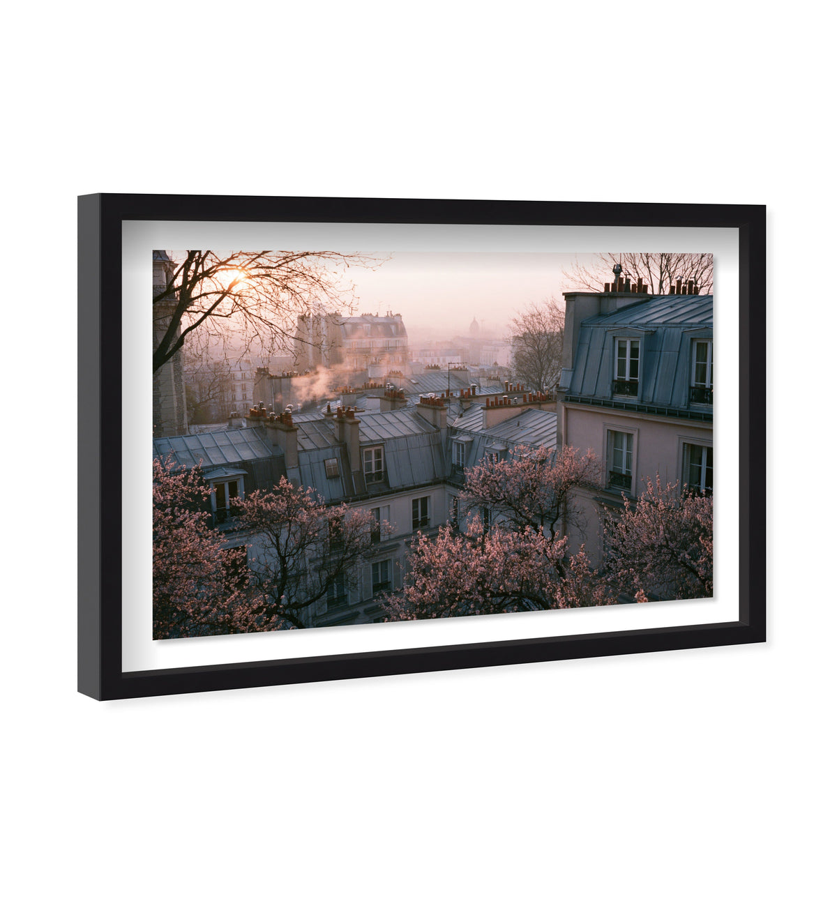 Blossom Framed Paris IV