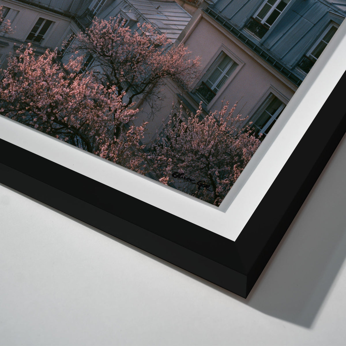Blossom Framed Paris IV