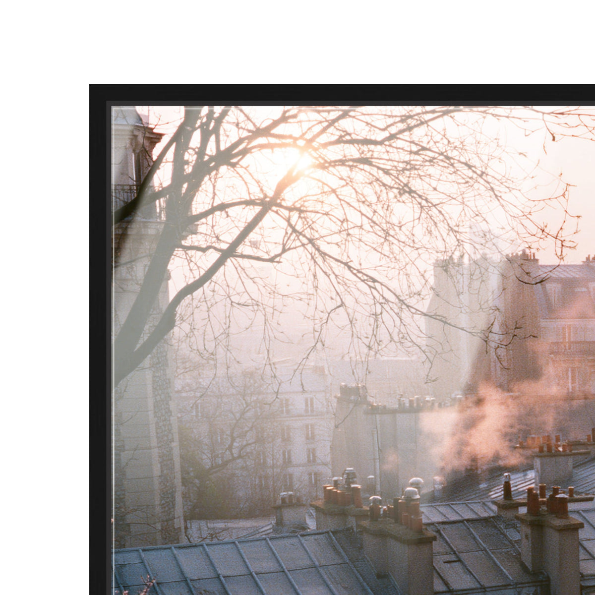 Blossom Framed Paris IV