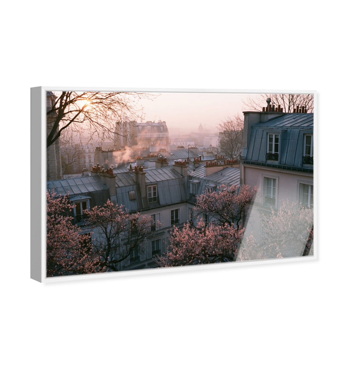 Blossom Framed Paris IV