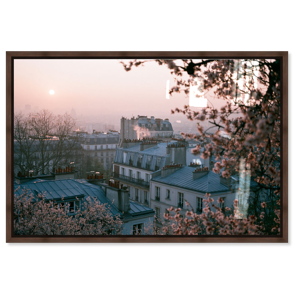Blossom Framed Paris III