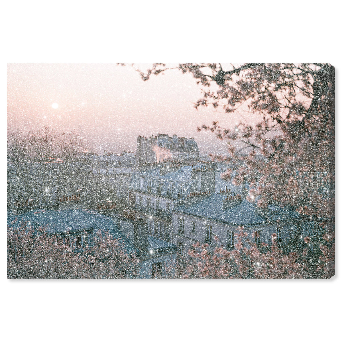 Blossom Framed Paris III