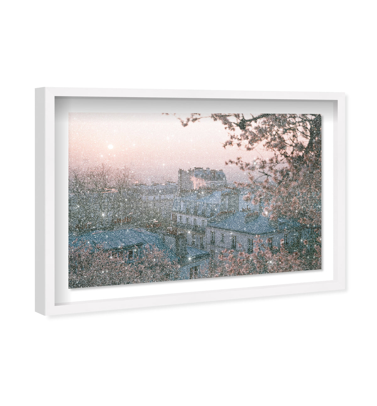 Blossom Framed Paris III