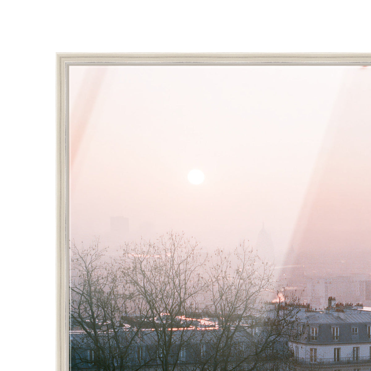 Blossom Framed Paris III