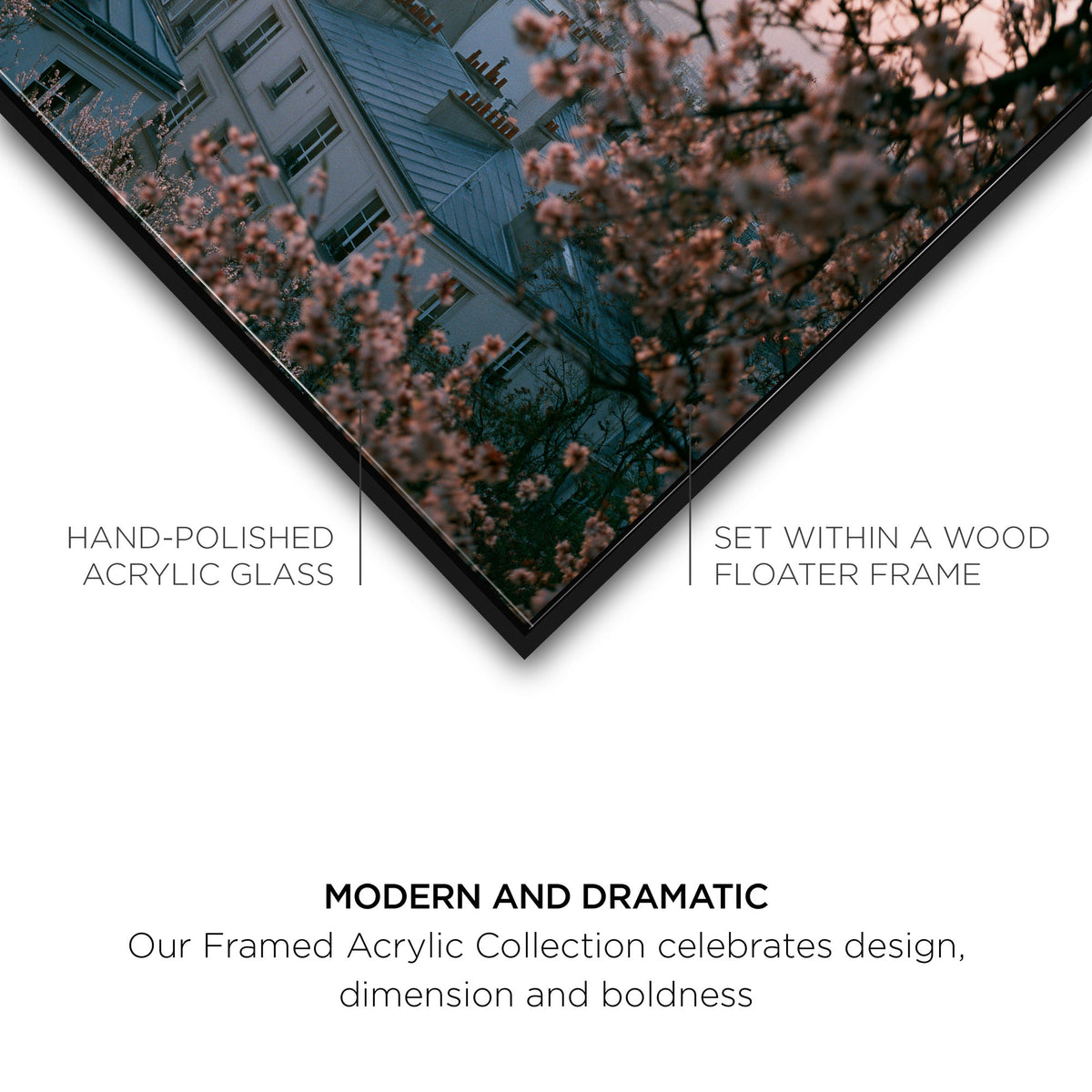 Blossom Framed Paris III