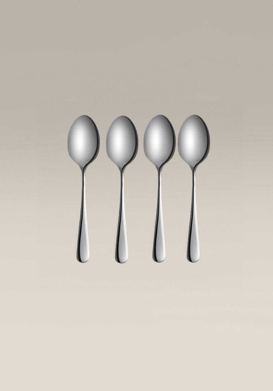 Classic Large Spoon Set, polished, bowl and tine close up