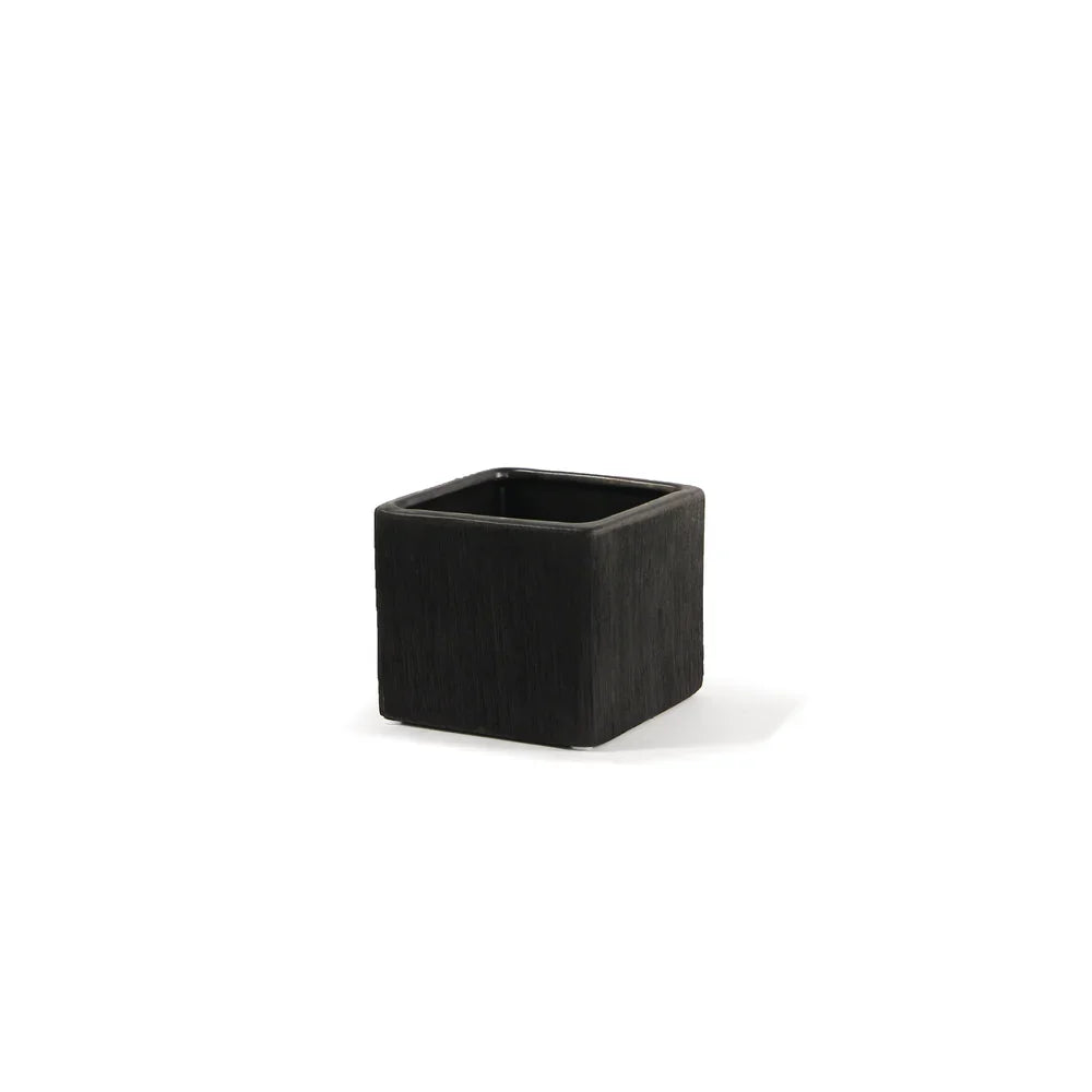 Etched Black and White Collection, styled with greenery