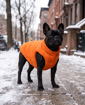 Puff-O Pet Puffer Jacket