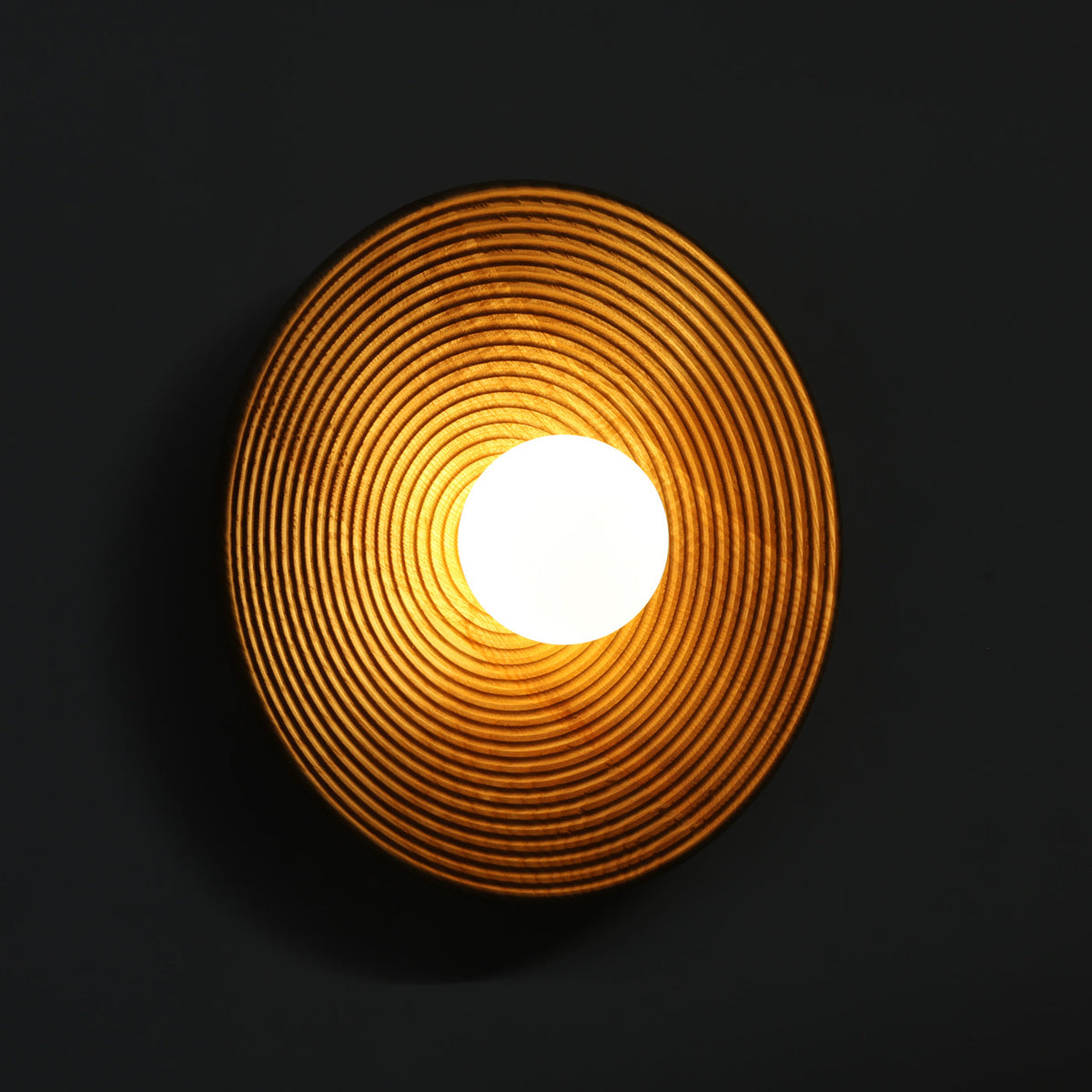 Longleaf Natural Wooden Plate Wall Light, mounted on the wall