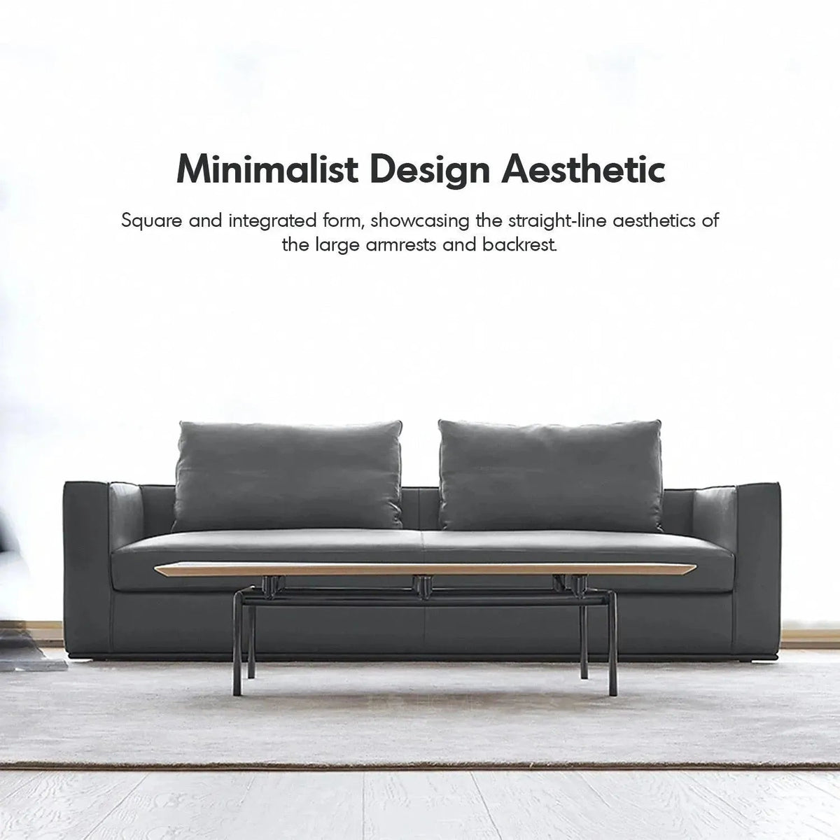 Minimalist Fabric 2 Seater Sofa COMO
